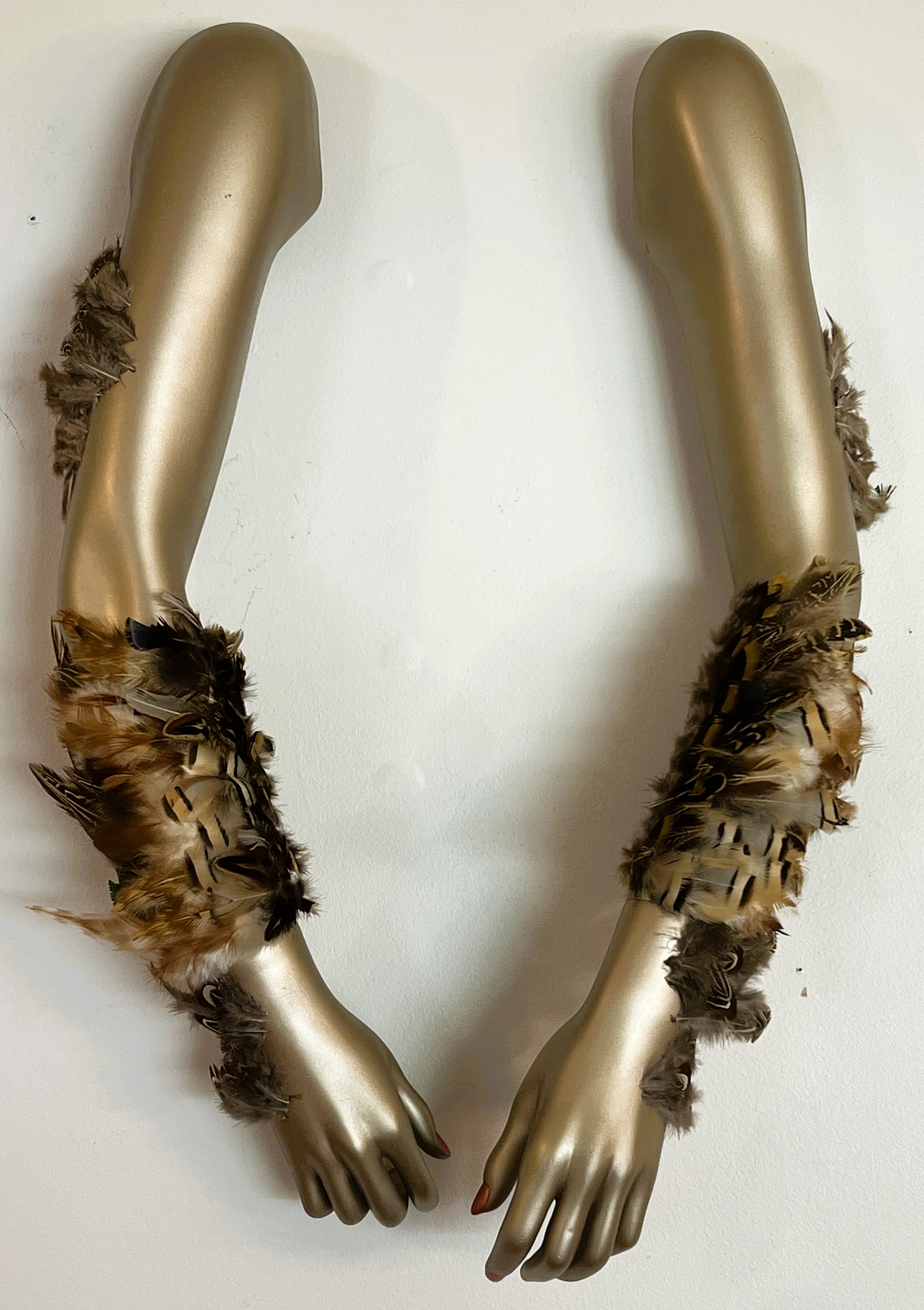 The Plumage of Ashley Ucheck